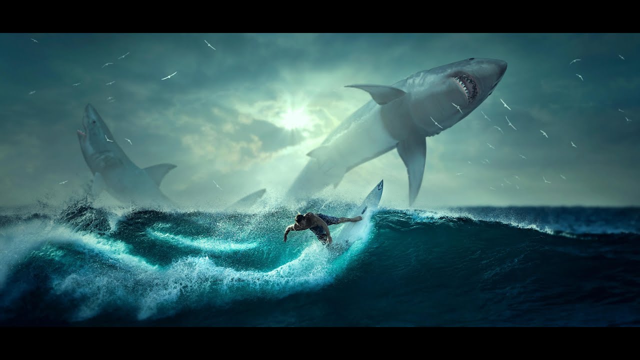 Amazing Underwater Fish 2022