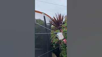 Delta loop Friday radio fun !