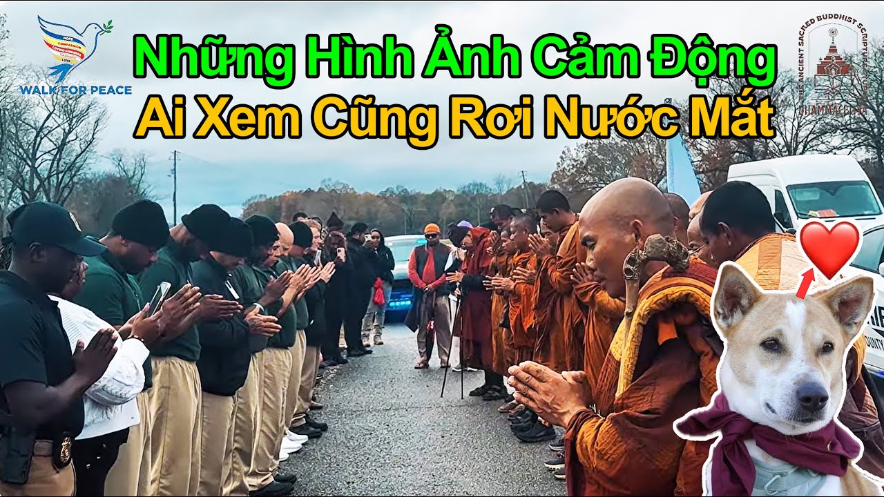 Nhiều Người Rơi Nước Mắt I Tăng Đoàn Đi Bộ Vì Hòa Bình