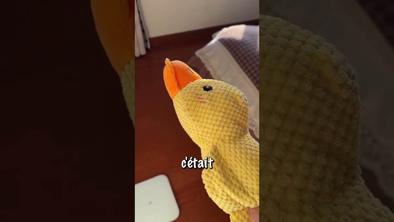 Son chien lui manquait jusqu’à ce que ça arrive #shorts
