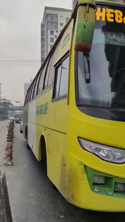 Seba green line