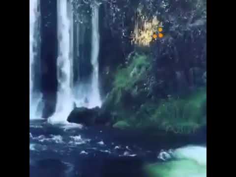 إن المتقين في جنات وعيون ادخلوها بسلام آمنين آيات من الذكر الحكيم لراحه القلوب