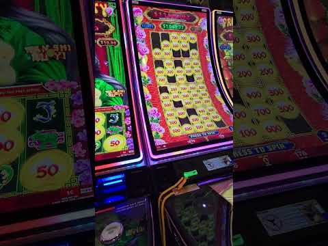¡Celebramos un año más de fortuna y buena suerte en Casino Miami!