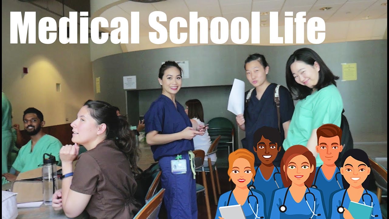 a-typical-day-of-a-medical-school-student-youtube