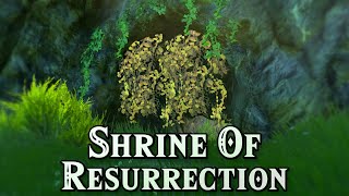 Visiting The Shrine Of Resurrection - Zelda TOTK