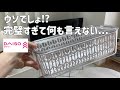 【100均】SNSで話題沸騰中の新作GET!これはウワサ通りすごい!DAISO新作etc.