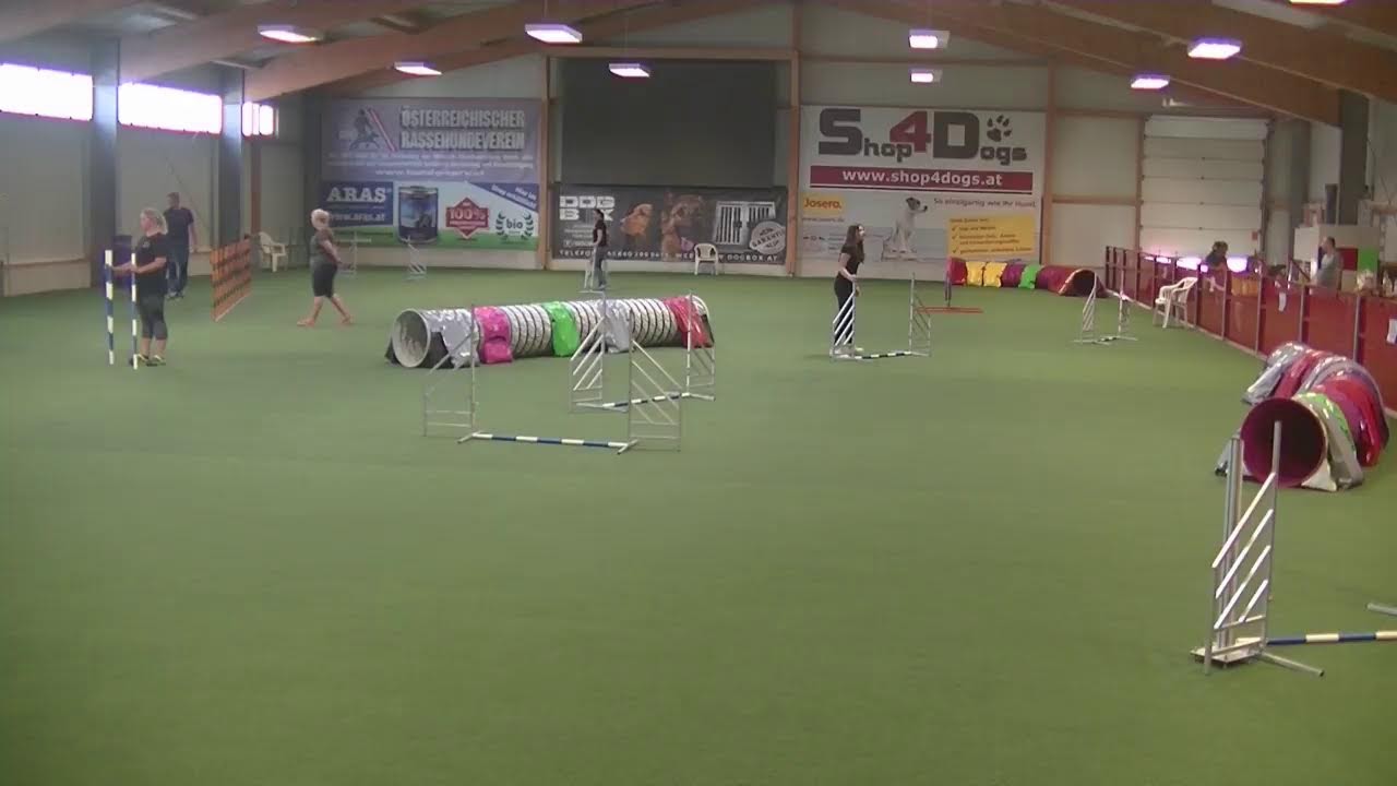 FCI Agility WM Endqualifikation mit Einladungsturnier YouTube