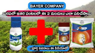 Bayer company admire and jump insecticides use in telugu || మిరపలో ఈ రెండు మందులు ఎలా పనిచేస్తాయి?