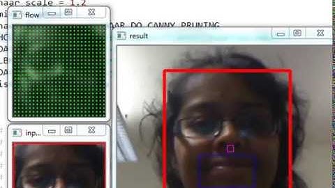 Face Detection and Optical Flow