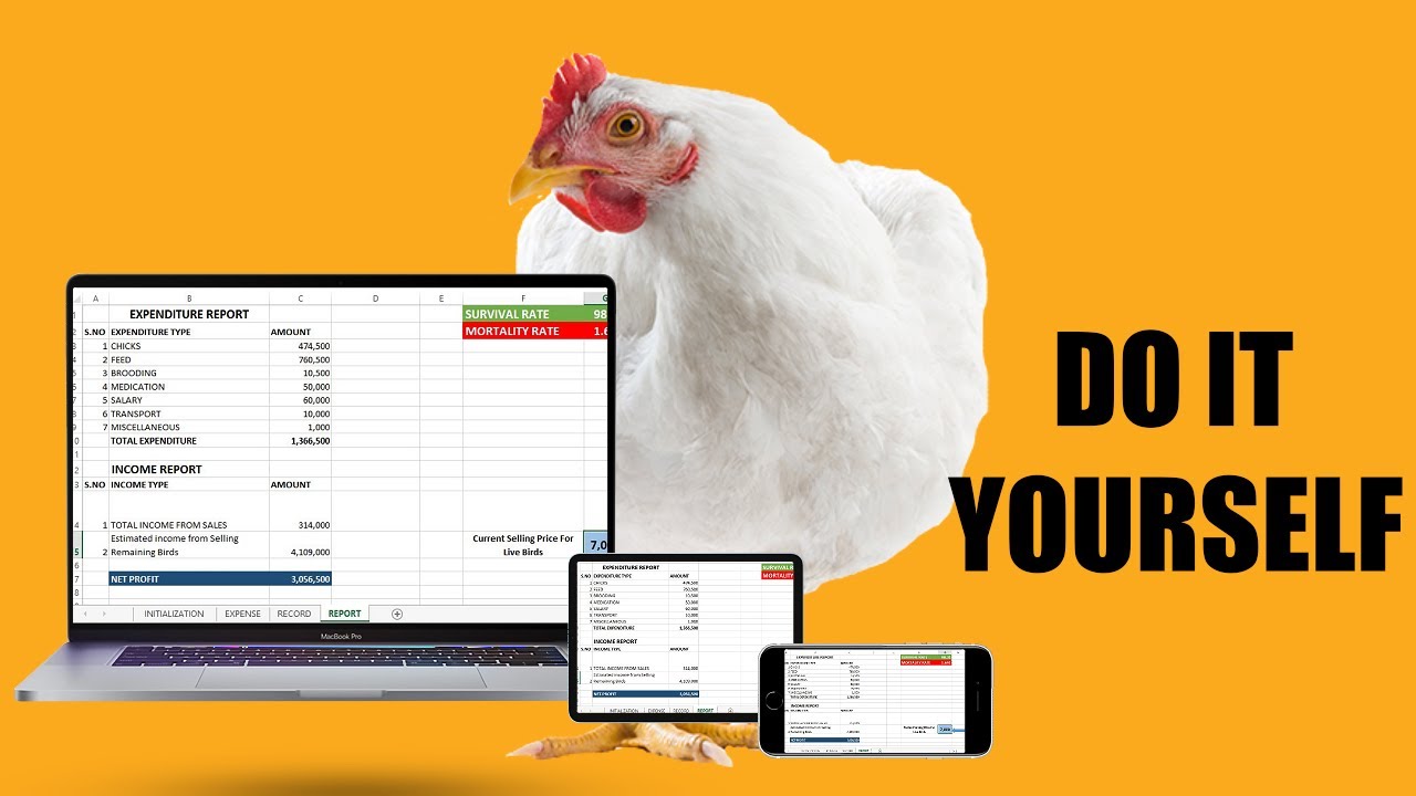 How to Create a Poultry Farm Expense Record ON EXCEL - YouTube
