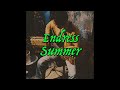 Endless Summer - Acoustic Home Live