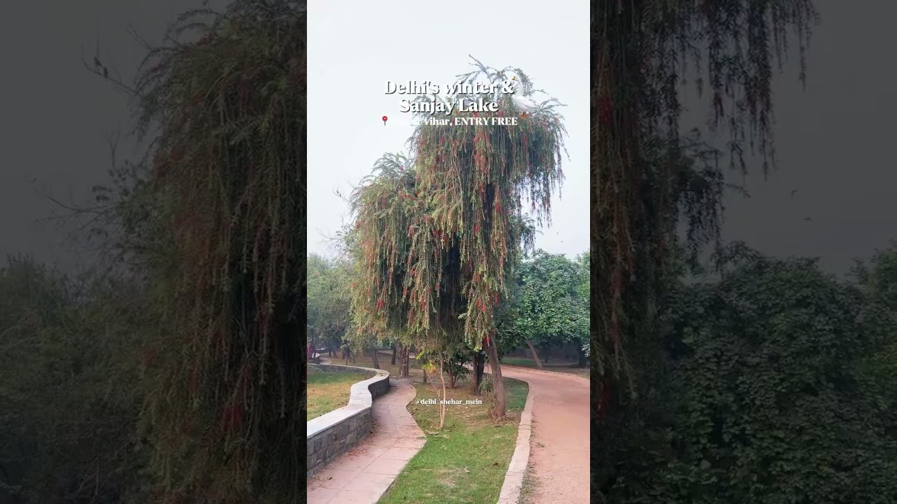 Sanjay lake , Mayur vihar Delhi 