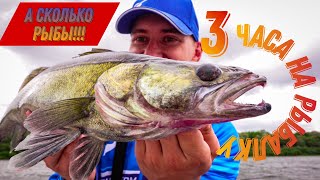 ЧТО МОЖНО ПОЙМАТЬ ЗА 3 ЧАСА НА РЕКЕ!!! Клёв судака! Рыбалка с лодки