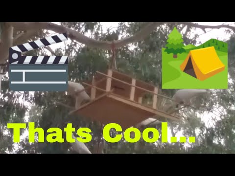 2019 SkyLIVE - Action Thursday SPECIAL - Feed Station 1