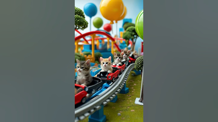 Kittens Ride a Tiny Roller Coaster – Cutest Thrill Ride Ever!