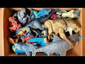 Jurassic World Dinosaur Box: Distortus Rex, Mosasaurus, Velociraptor, Tyrannosaurus Rex And More