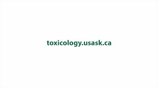 Master of Chemical Risk Assessment: Detailed overview
