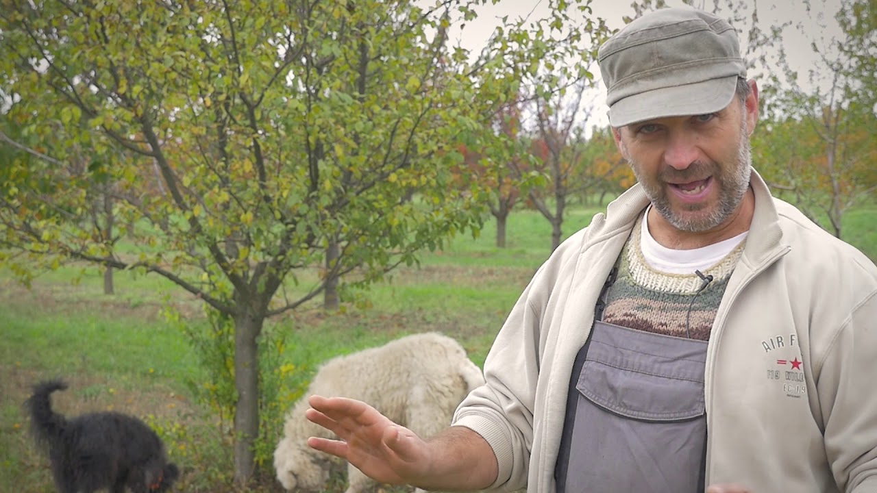 Valaha tanya - A siker titka vidéken