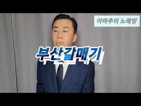 부산갈매기