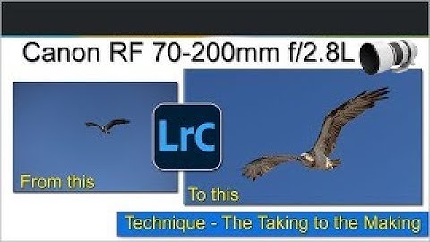 Canon R5 + LR -  Technique: Serious Cropping - Maintain quality