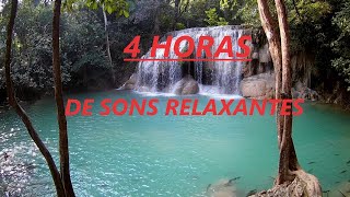4 HORAS com Sons da natureza para Acalamar, Relaxar e Passar o dia bem e tranquilo