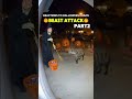 BEAST ATTACK EP.2! Wolf Pack vs Halloween Witch - Animal Revenge Series Continues! 🐺⚔️👻