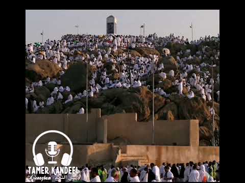 مواكب الحجاج محمد ثروت