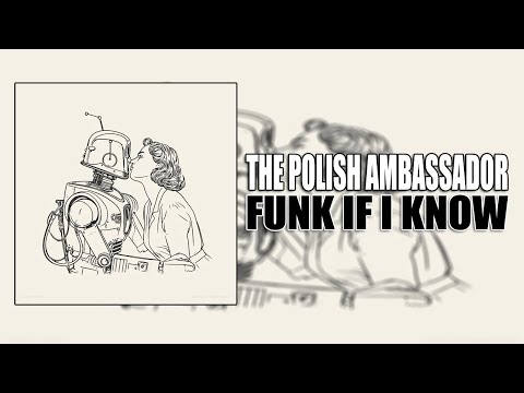 New Day - The Polish Ambassador