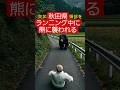 『実話』秋田県｜69歳男性がランニングの途中で熊に襲われ負傷した獣害事件