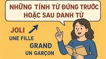 Ngữ Pháp Tiếng Pháp A2 – Những Tính Từ Đứng Trước hoặc Sau Danh Từ . 