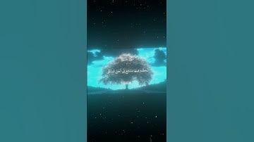 سورة الحج|32-33|القارئ:#محمد_اللحيدان #قران #quran #راحة_نفسية #قران_كريم #تلاوة_هادئة #تلاوة_خاشعة