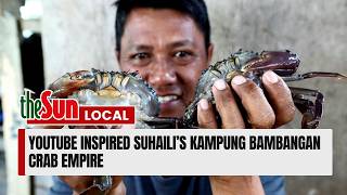 YouTube inspired Suhaili’s Kampung Bambangan crab empire screenshot 1