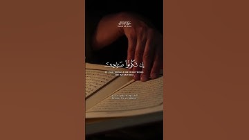 القرآن الكريم | ربكم اعلم بما في نفوسكم | القارئ فارس عباد | سورة الإسراء
