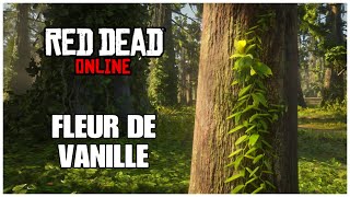 Emplacement Fleur De Vanille Red Dead Online