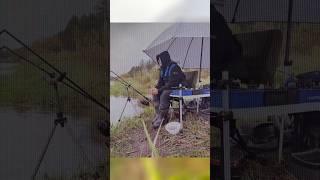 Фидерная рыбалка, рыбалка на Березине #fishing #рыбалканафидер #фидернаяловля