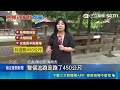 棕蜘蛛猴Paco受驚脫逃 園方急圍捕.吹箭帶回｜記者 黃政杰 陳心慈｜三立新聞LIVE