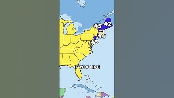 This US State is the Most DANGEROUS! #geography #maps #usa