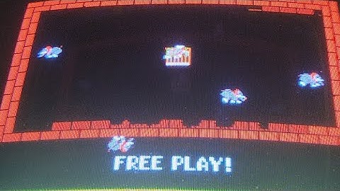 Zoo Keeper Practice [Livestream]