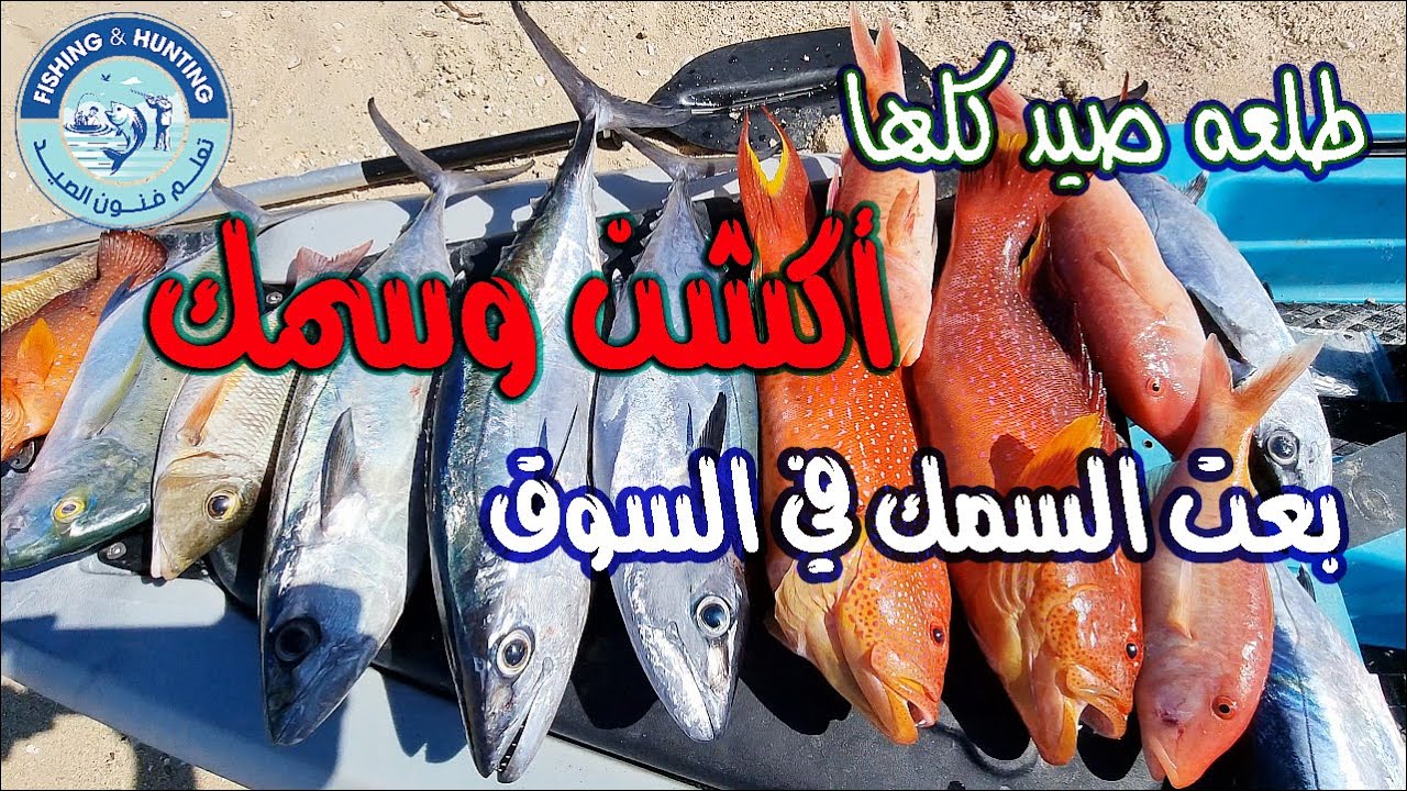 طلعه صيد كلها أكشن و سمك