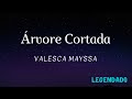 Árvore Cortada - Valesca Mayssa (Legendado)