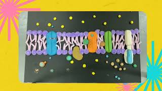 [CASE STUDY 5] MELAS SYNDROME F12 