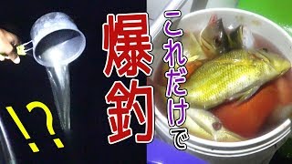 満月は釣れない説は正しいのか？【ジェットボート釣り　後編】