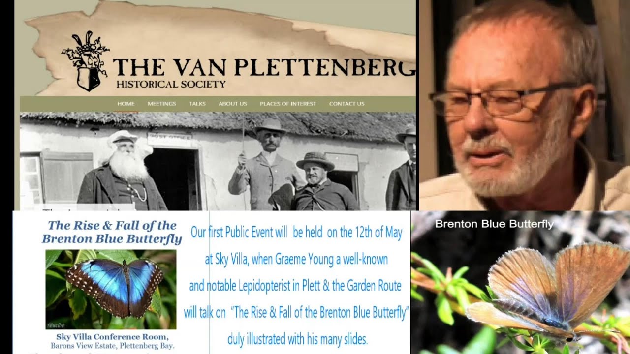 The Brenton Blue Butterfly YouTube