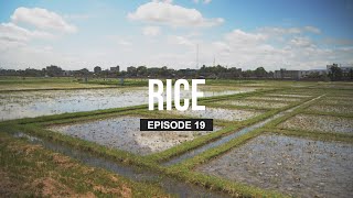 Climate Change, Salinization and Agriculture in Bangladesh screenshot 1