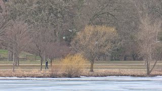 Famous Why Do Some Get People Allergies And Others Don’t? Wealth