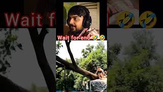 ye to ped se v bhari nikli🤣🤣 | funny video reaction #funny #tranding #shorts