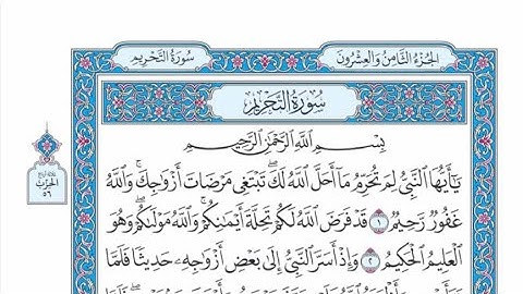 الربع الرابع من الحزب ٥٦ من القرآن الكريم - الشيخ ياسر سلامة حدر