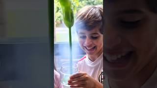 🌱 Watch a Magic Bean Grow! | Real Bean Experiment + Fun Animation for Kids 🌞