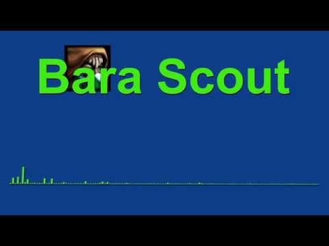 Kattenmatte   Bara Scout HoN