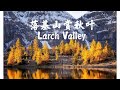 加拿大 户外（2020）班芙国家公园赏秋叶/Larch Valley落叶松谷（好美！）